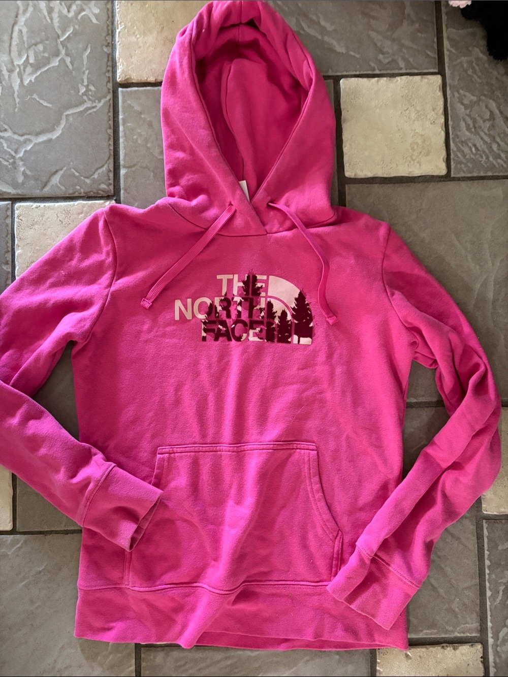 The Northface pink hoodie sweatshirt women’s